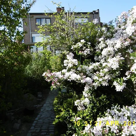 Huize Bianca Bed & Breakfast Wevelgem